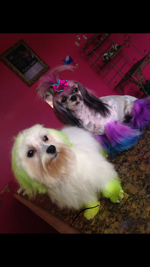 Barbie & Matthew